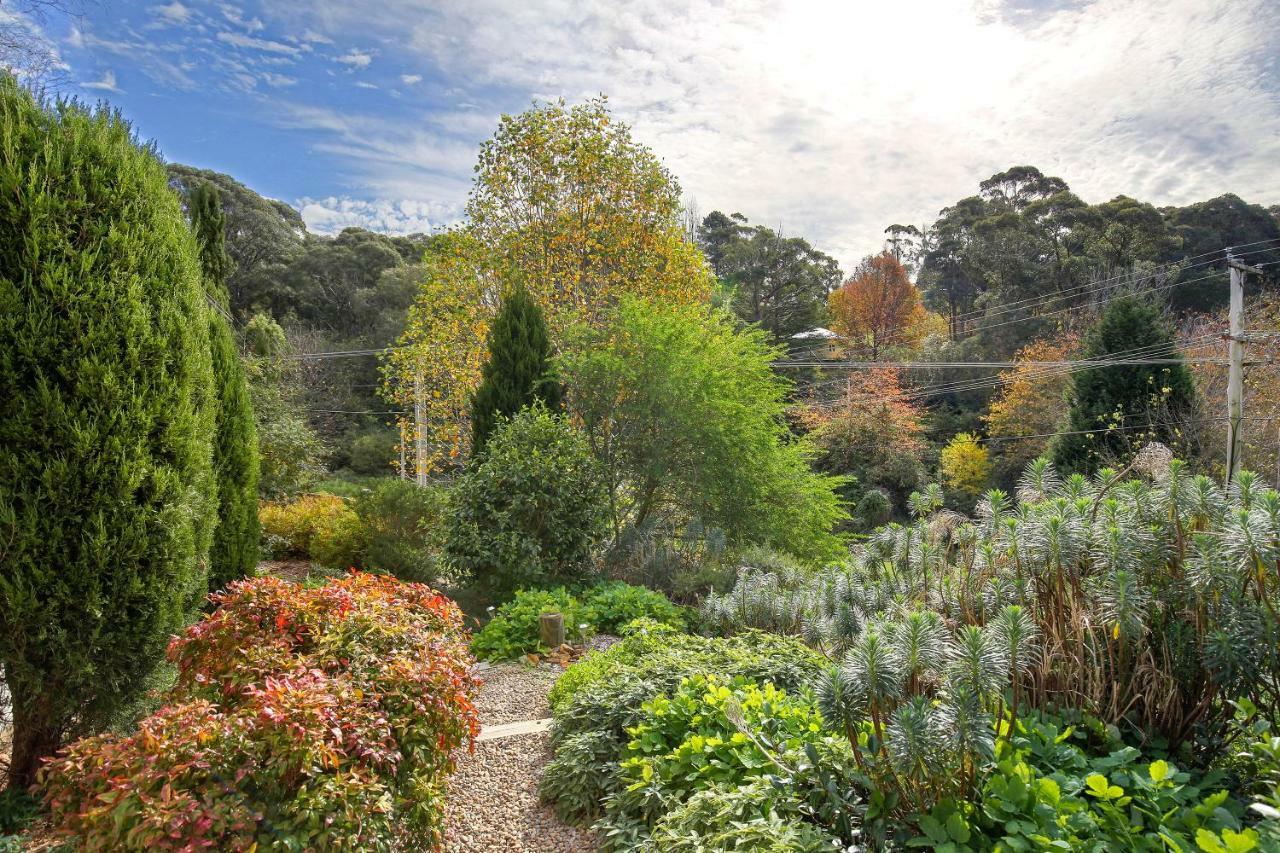 Hills Havens Cottages Leura Esterno foto